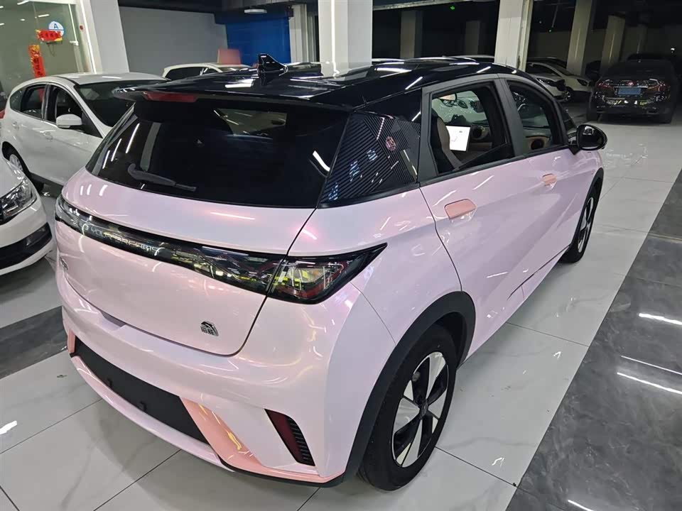 BYD dolphin