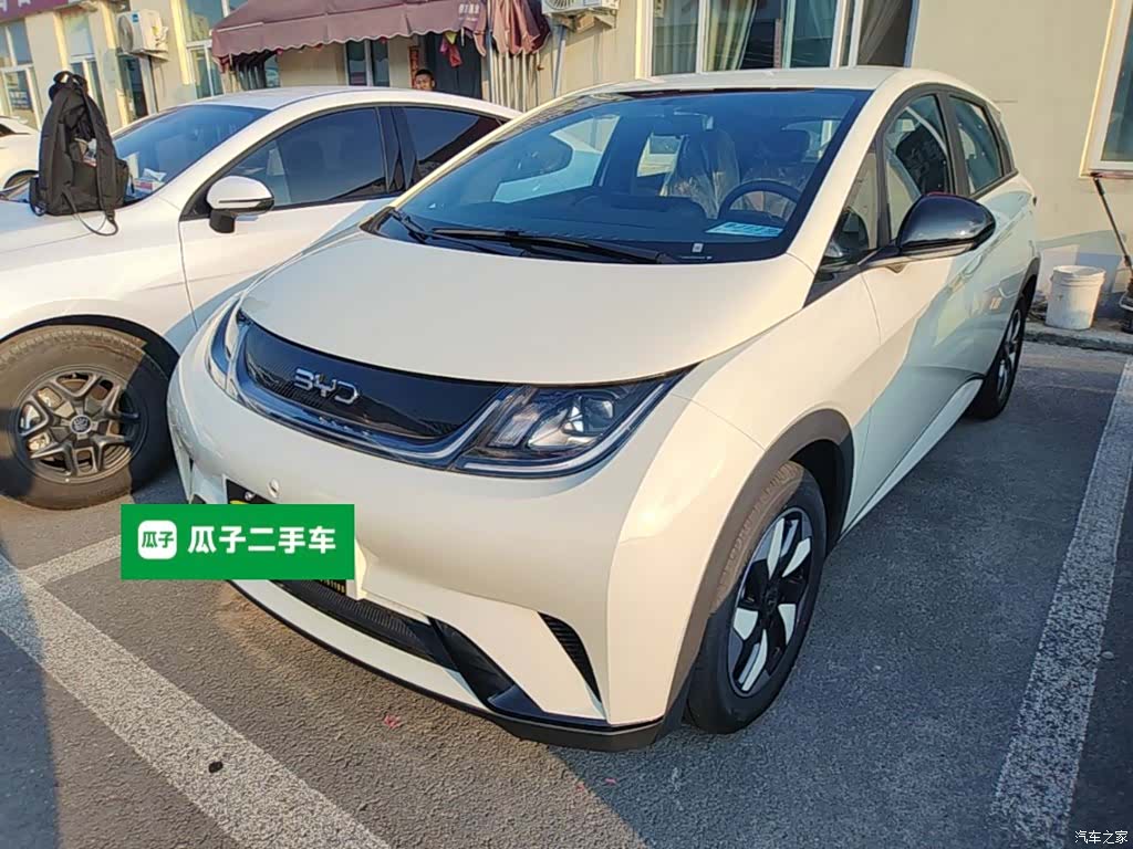 BYD Dolphin, 2026 1