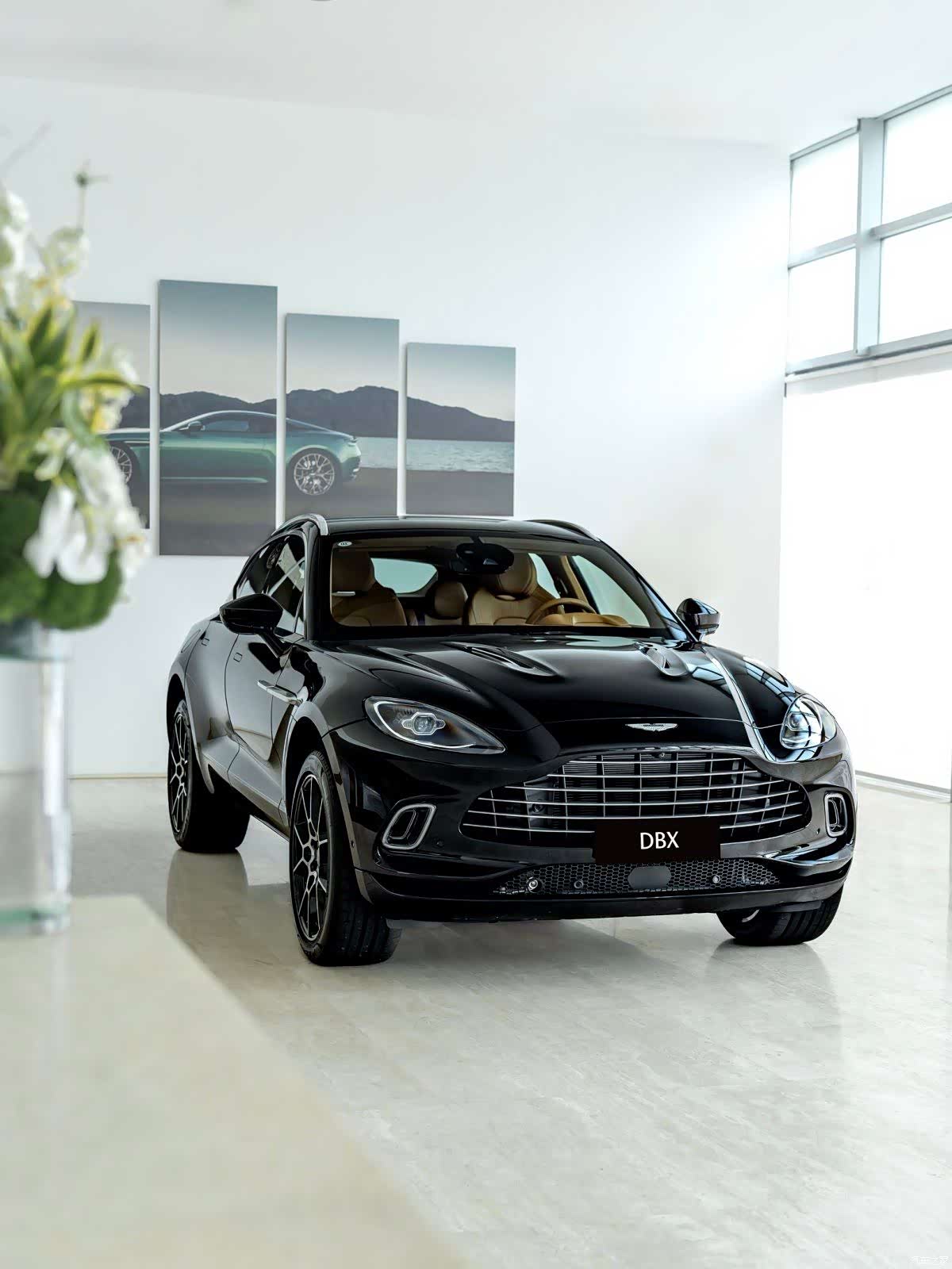 Aston Martin DBX, 1900 3