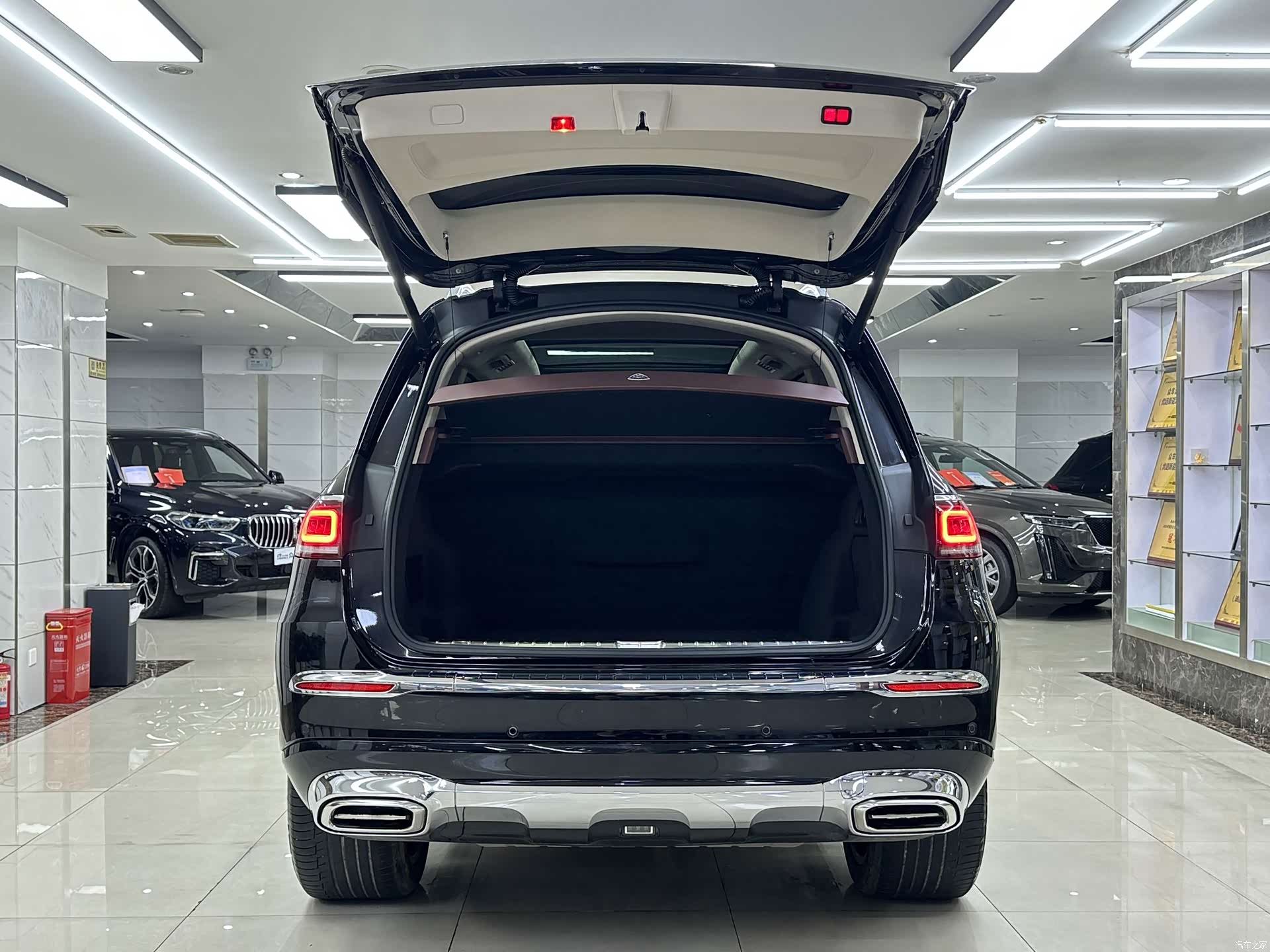 Maybach GLS, 2021 7