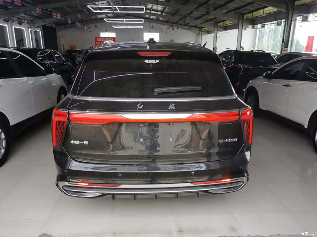 Hongqi E-HS9, 2023 6