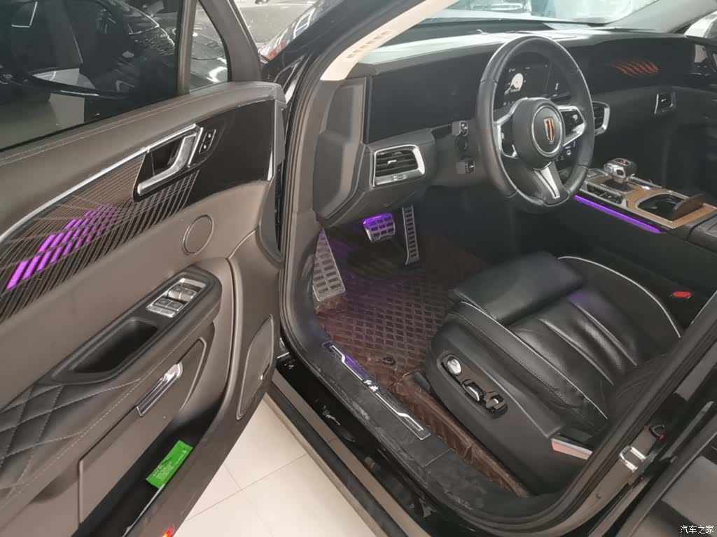 Hongqi E-HS9, 2023 15
