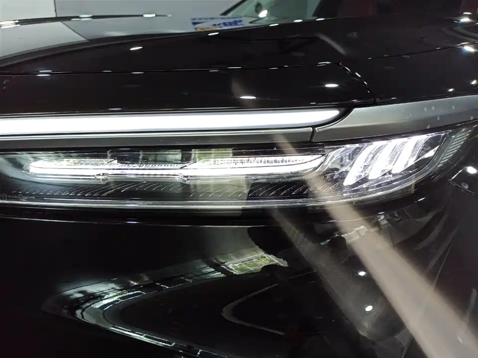 Hongqi E-HS9