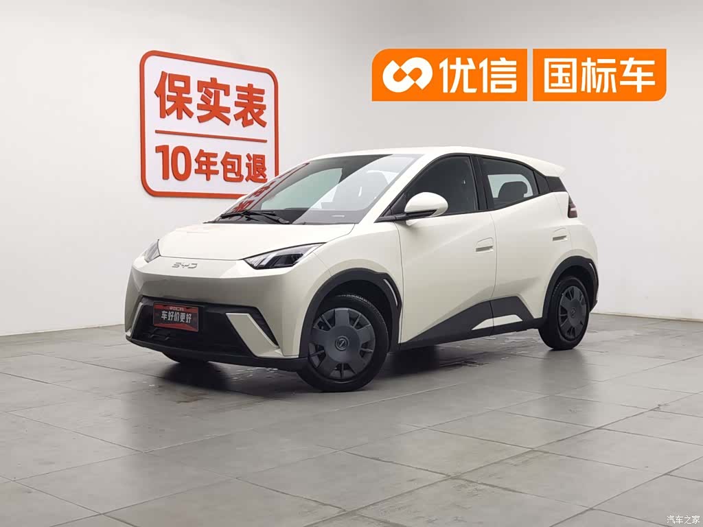 BYD Seagull, 2024 1