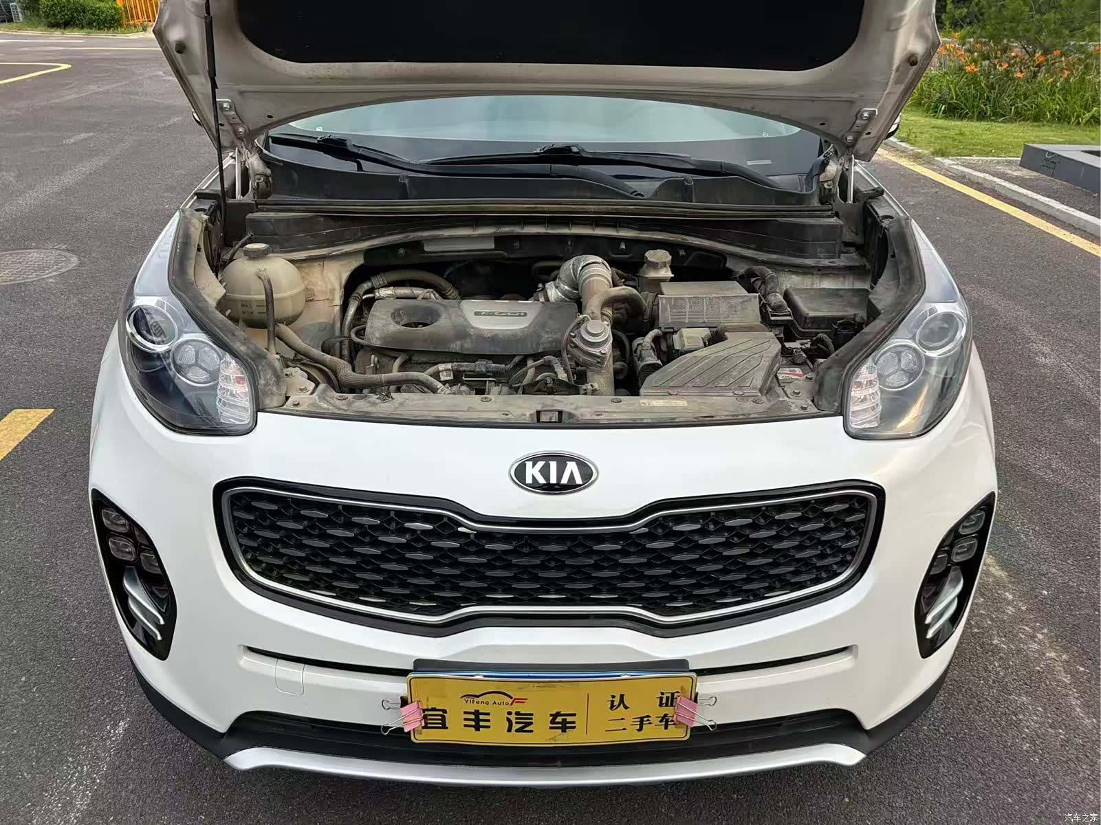 Kia KX5, 2018 19