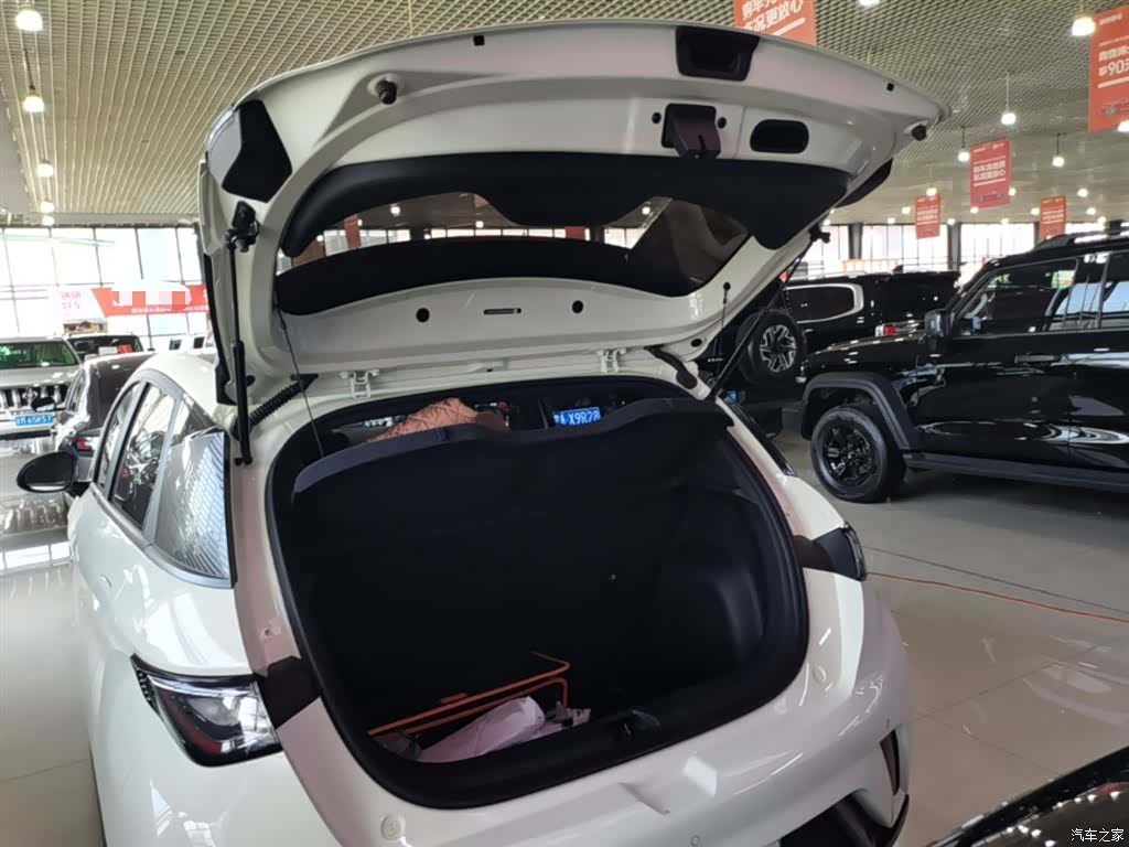 BYD Dolphin, 2024 19