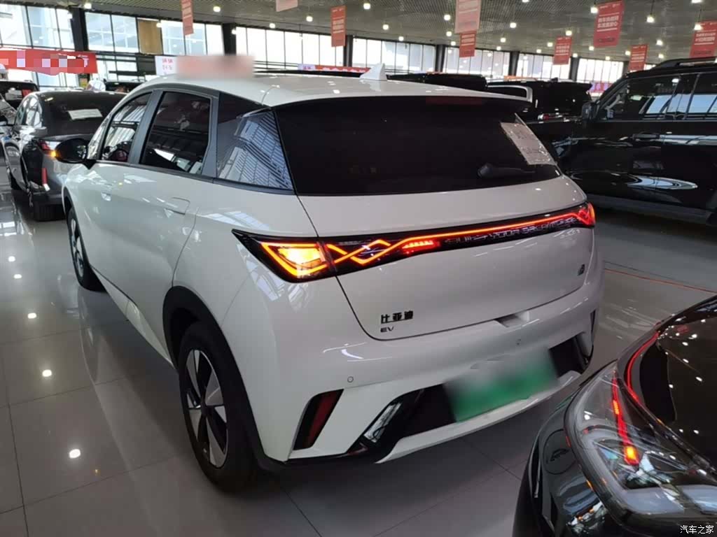 BYD Dolphin, 2024 6
