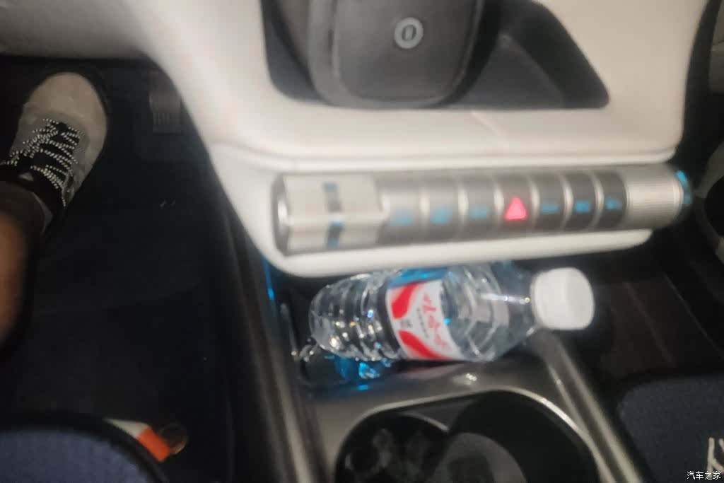 BYD Dolphin, 2022 16