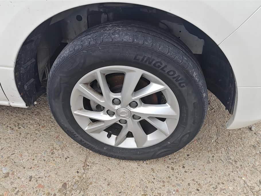 Forthing Lingzhi PLUS