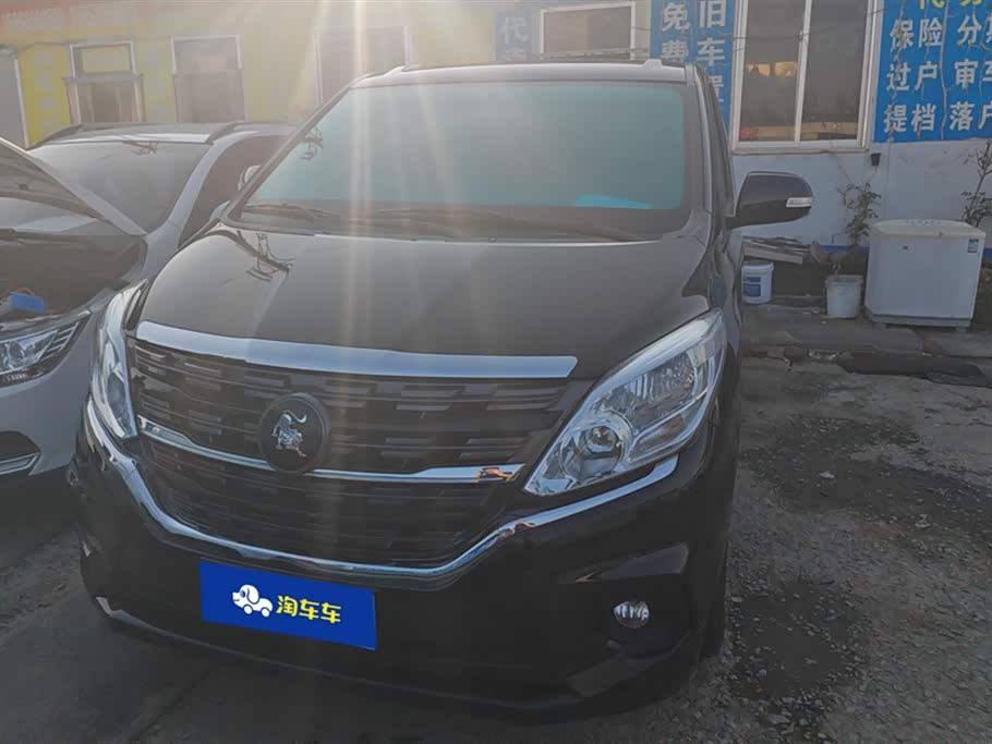 Forthing Lingzhi PLUS