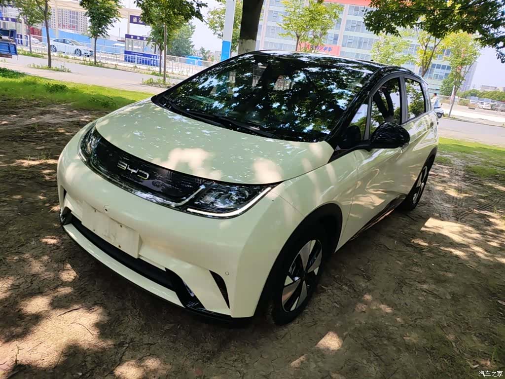 BYD Dolphin, 2023 2