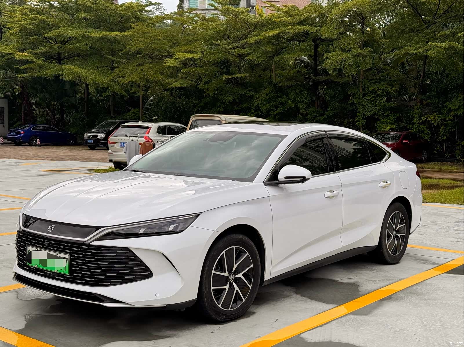 BYD Qin