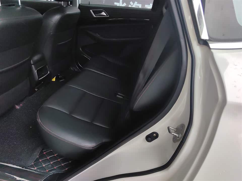 Leopaard Cheetah CS10