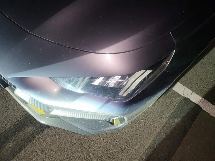 Trumpchi Shadow Leopard