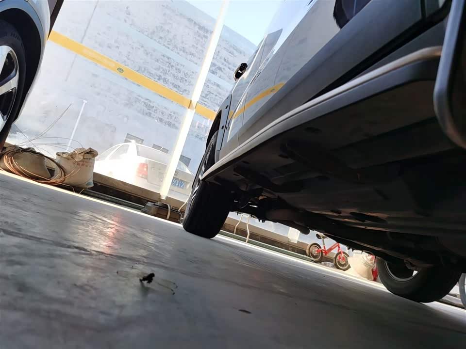 Haval Big dog