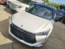 ����GS 2020�� 230T �Զ�ԽĿ��