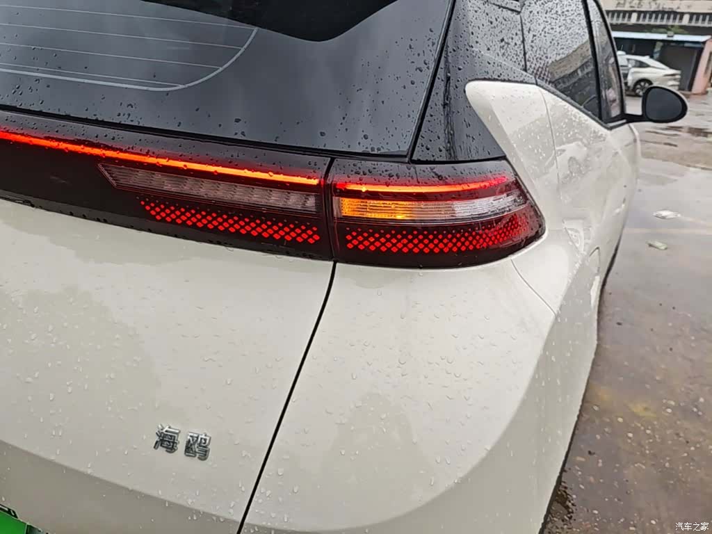 BYD Seagull, 2026 24