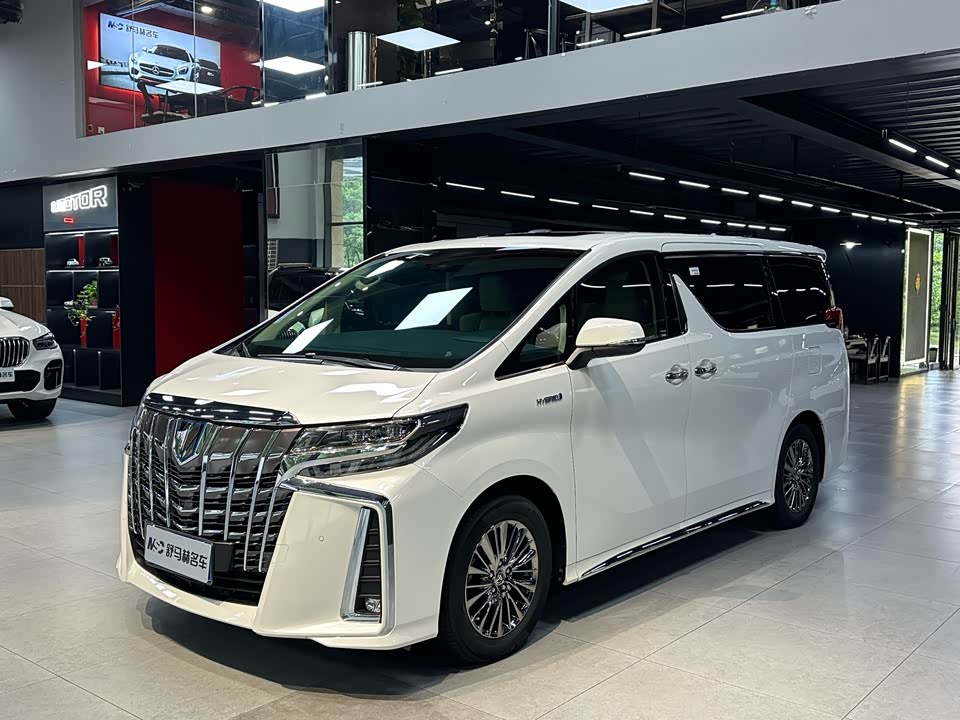 Toyota Elfa