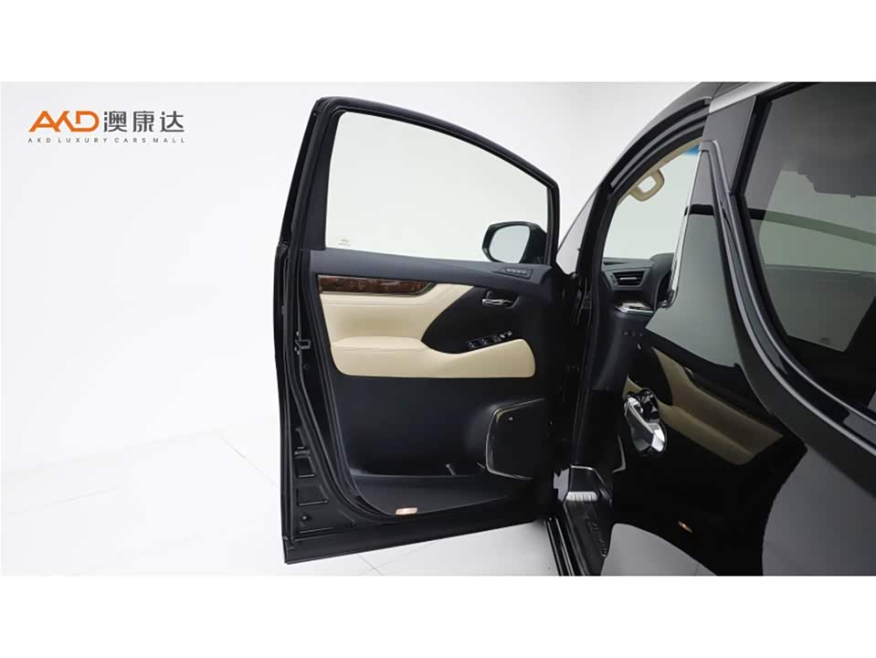 Toyota Elfa