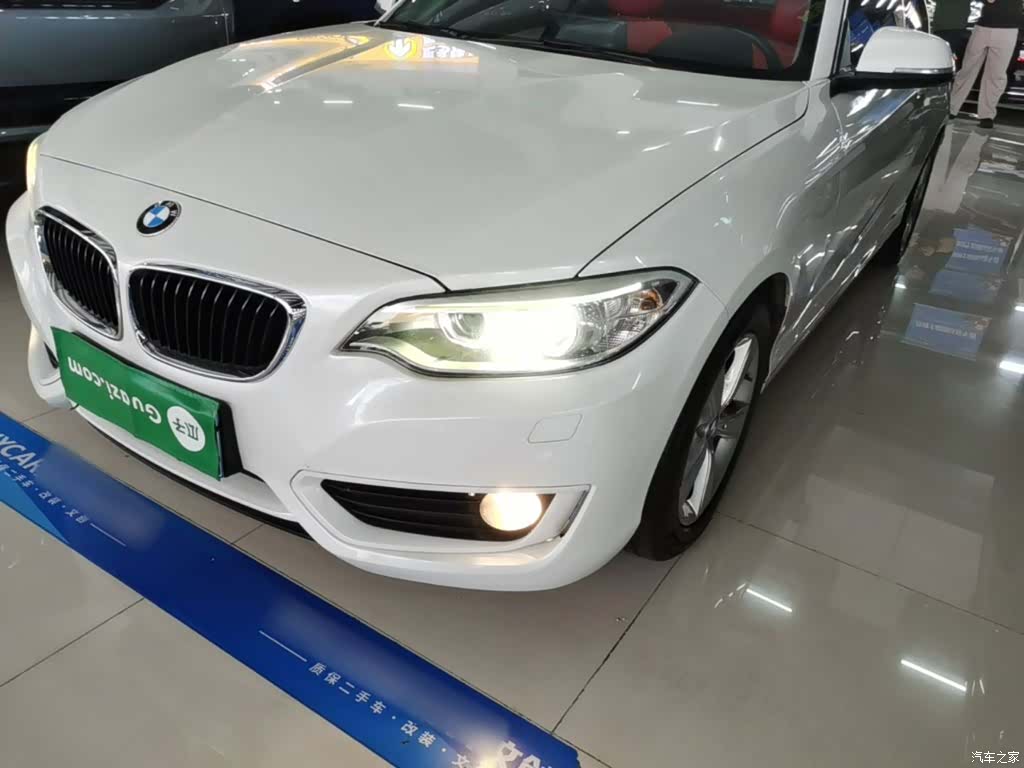 BMW 2 Series, 2016 24