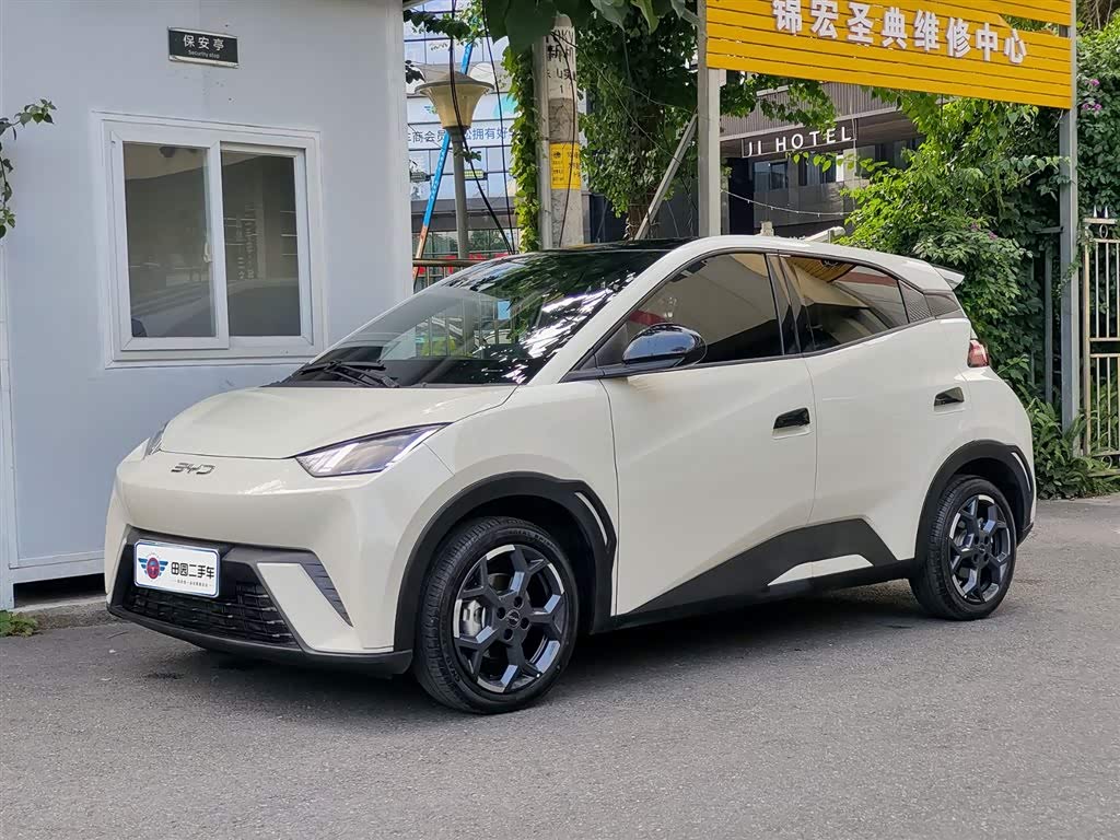 BYD Seagull