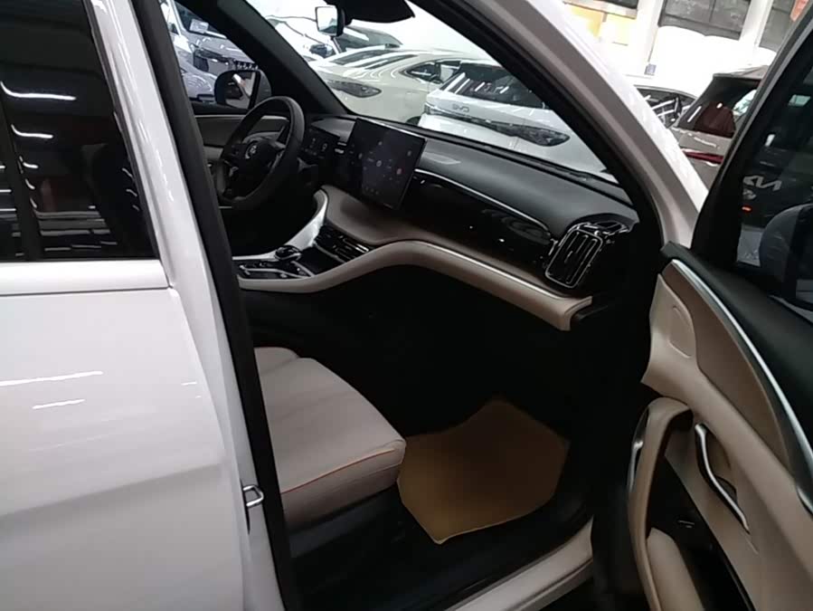BYD Song Pro New Energy 2024, фото 25