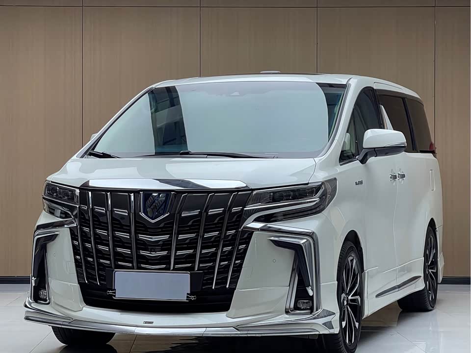 Toyota Elfa