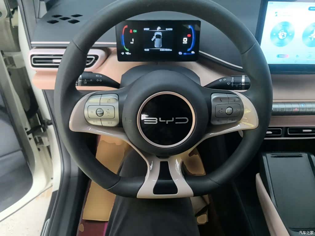 BYD Seagull, 2024 11