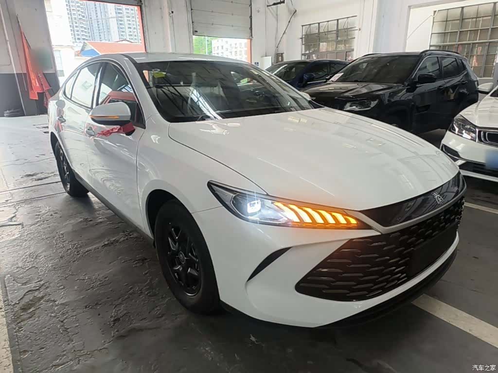 BYD Qin, 2026 4