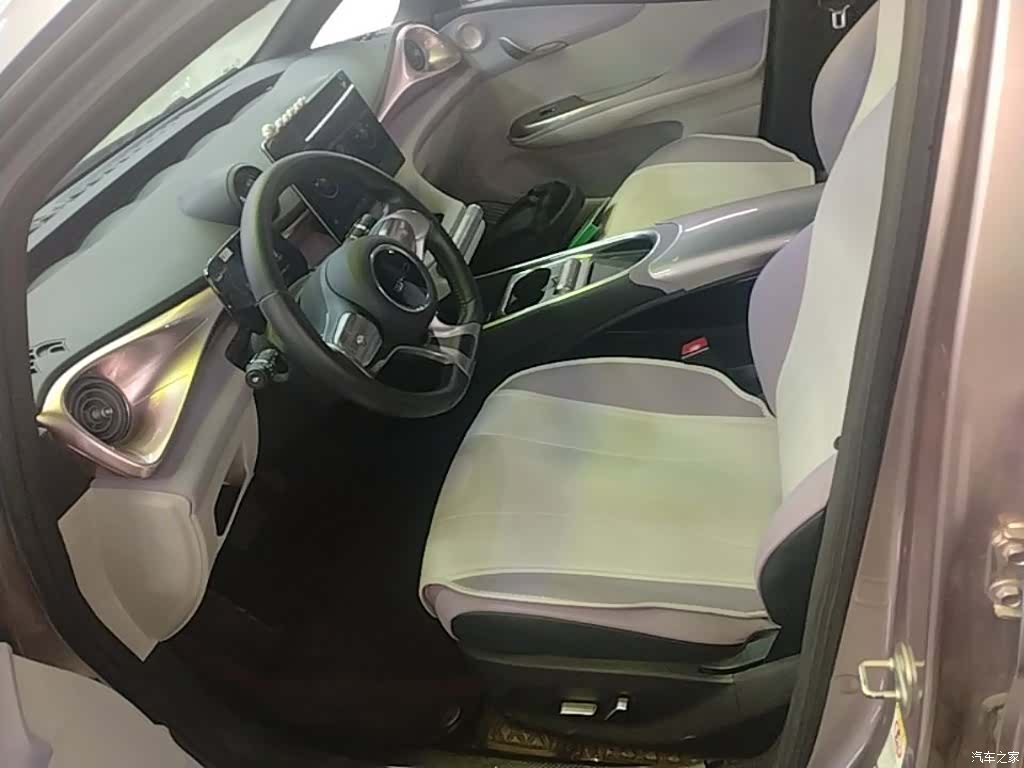 BYD Dolphin, 2022 15