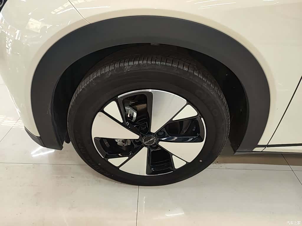 BYD Dolphin, 2024 25