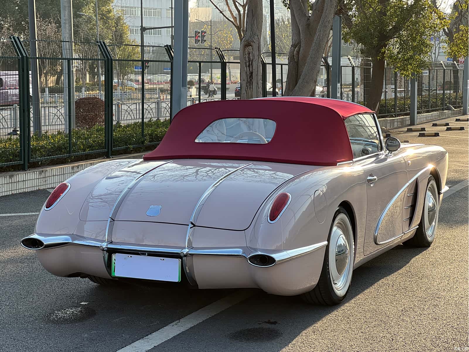 SS DOLPHIN, 2023 6