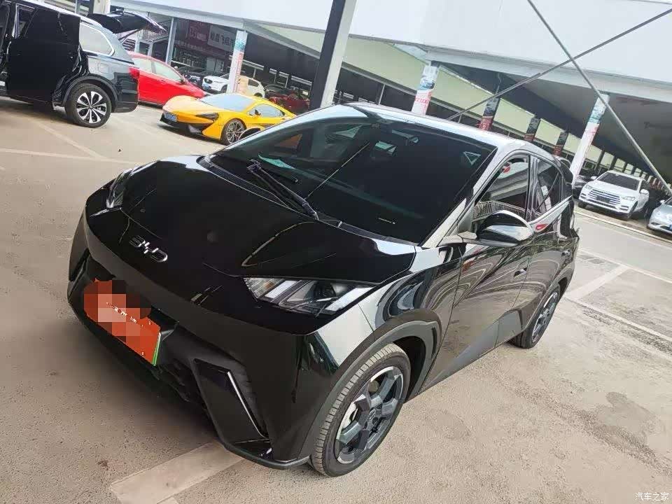 BYD Seagull, 2024 1