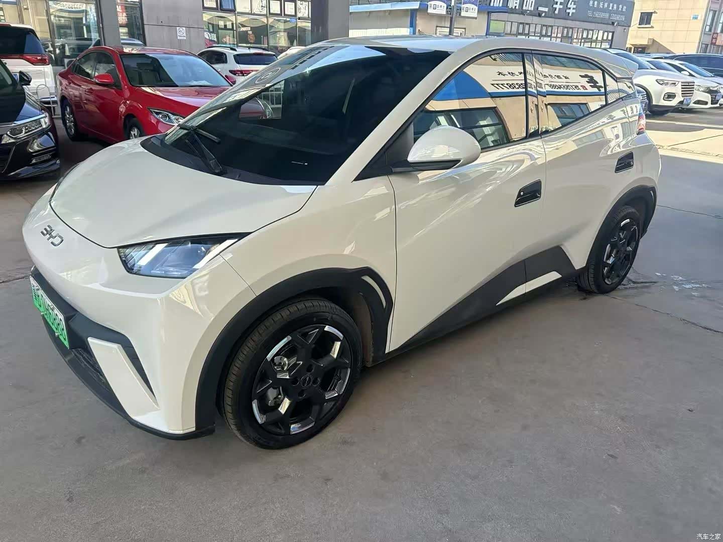BYD Seagull, 2024 1
