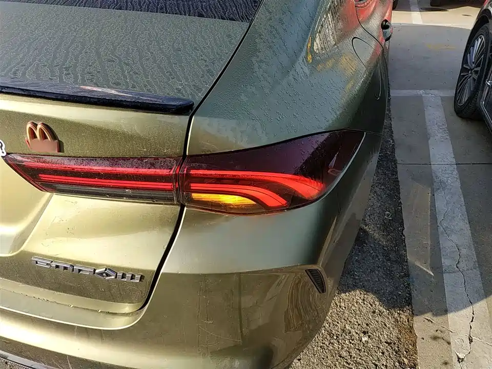 Trumpchi Shadow Leopard