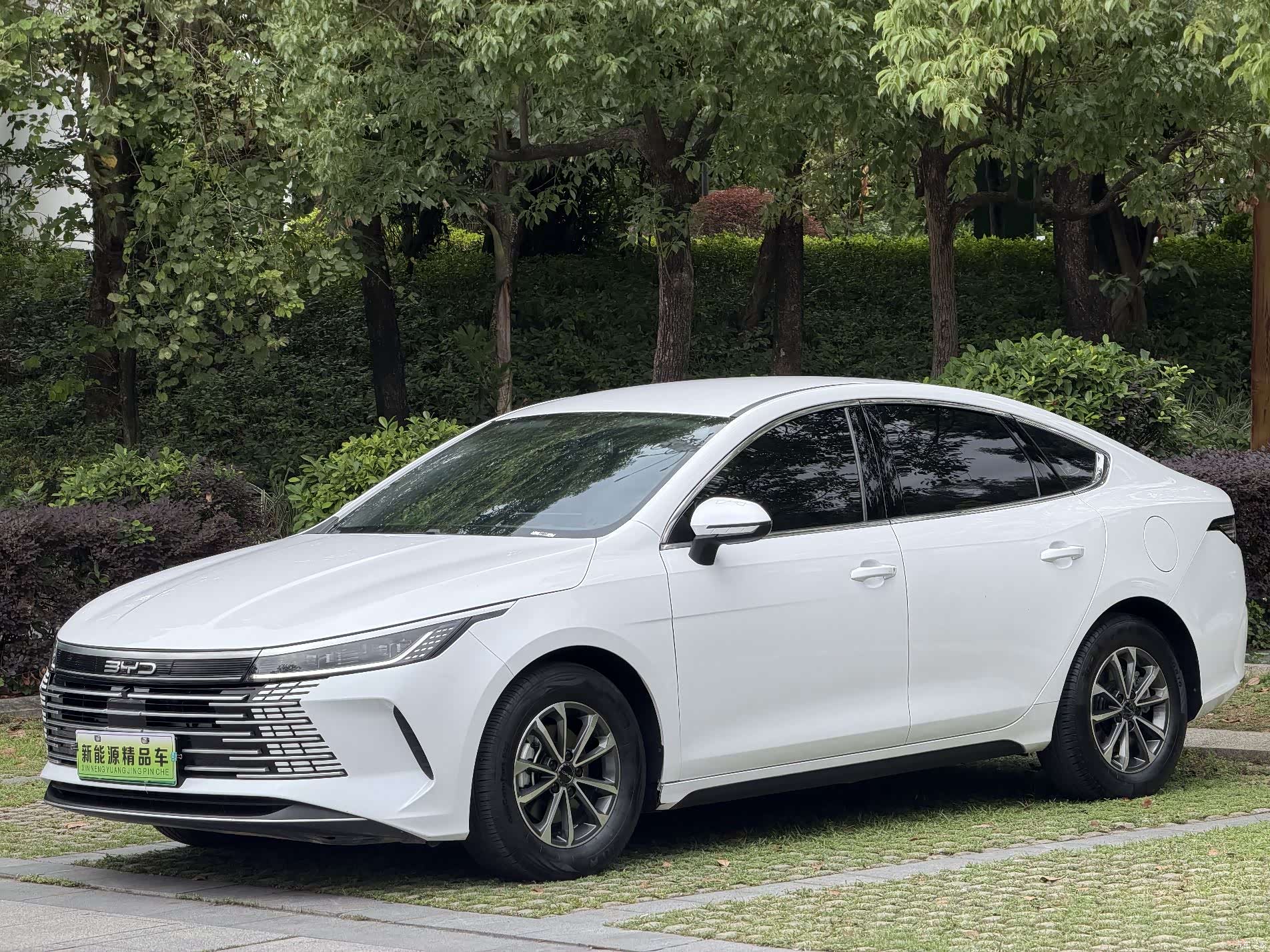 BYD Destroyer 05, 2024 1