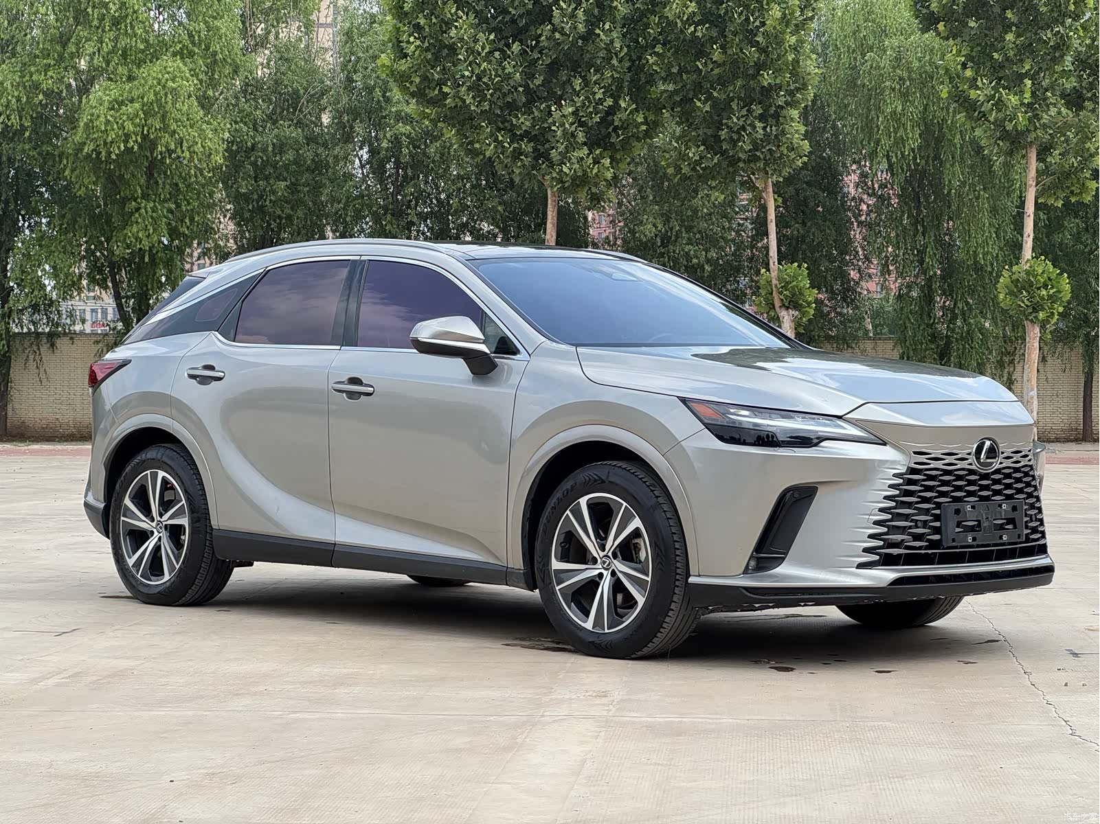 Lexus RX, 2024 3