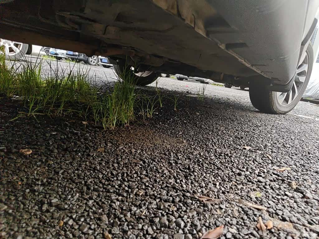 GAC GS4, 2018 19