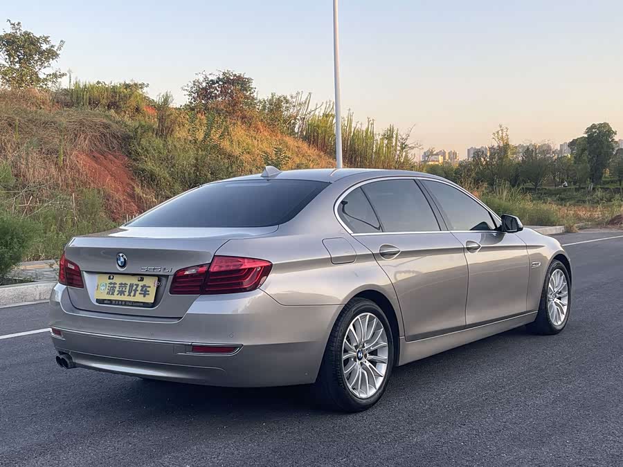 BMW 5 Series 2017, фото 8