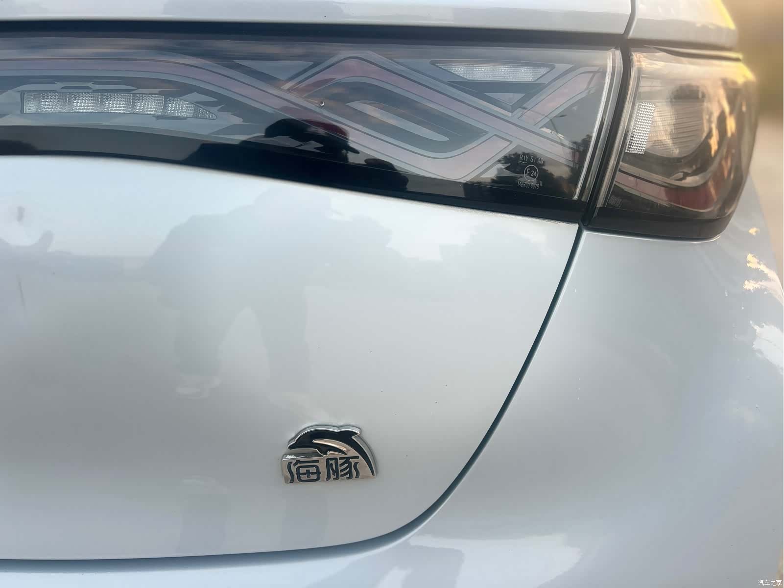 BYD Dolphin, 2021 14