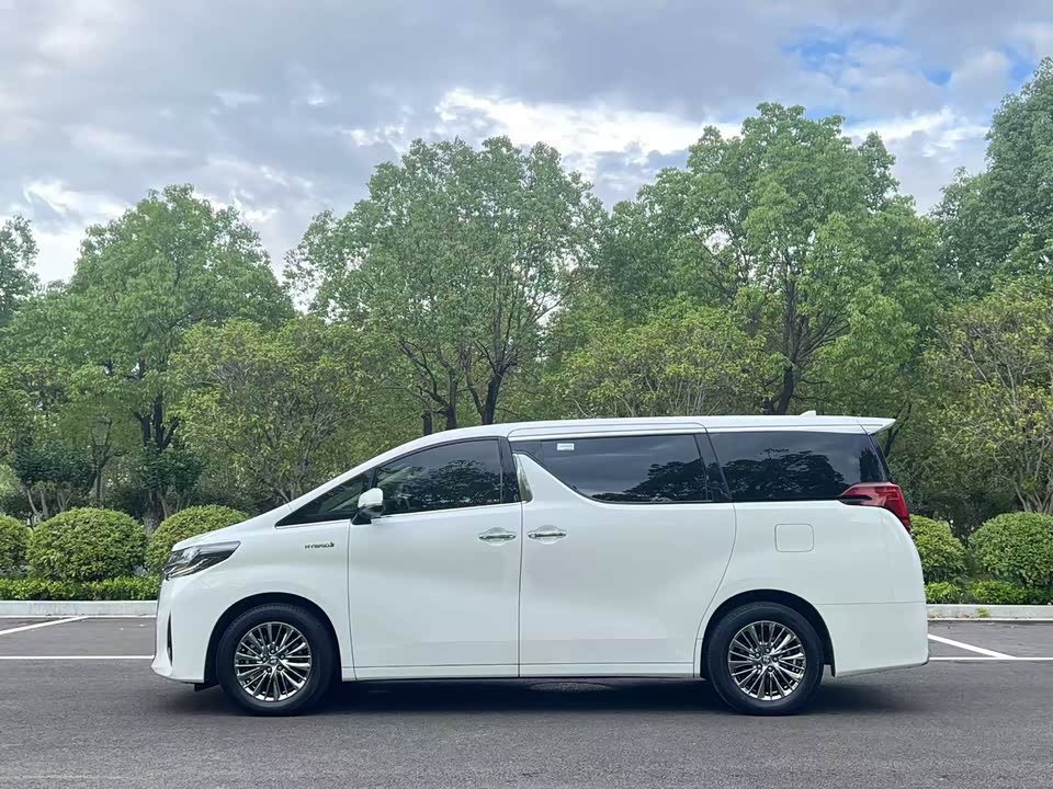 Toyota Elfa