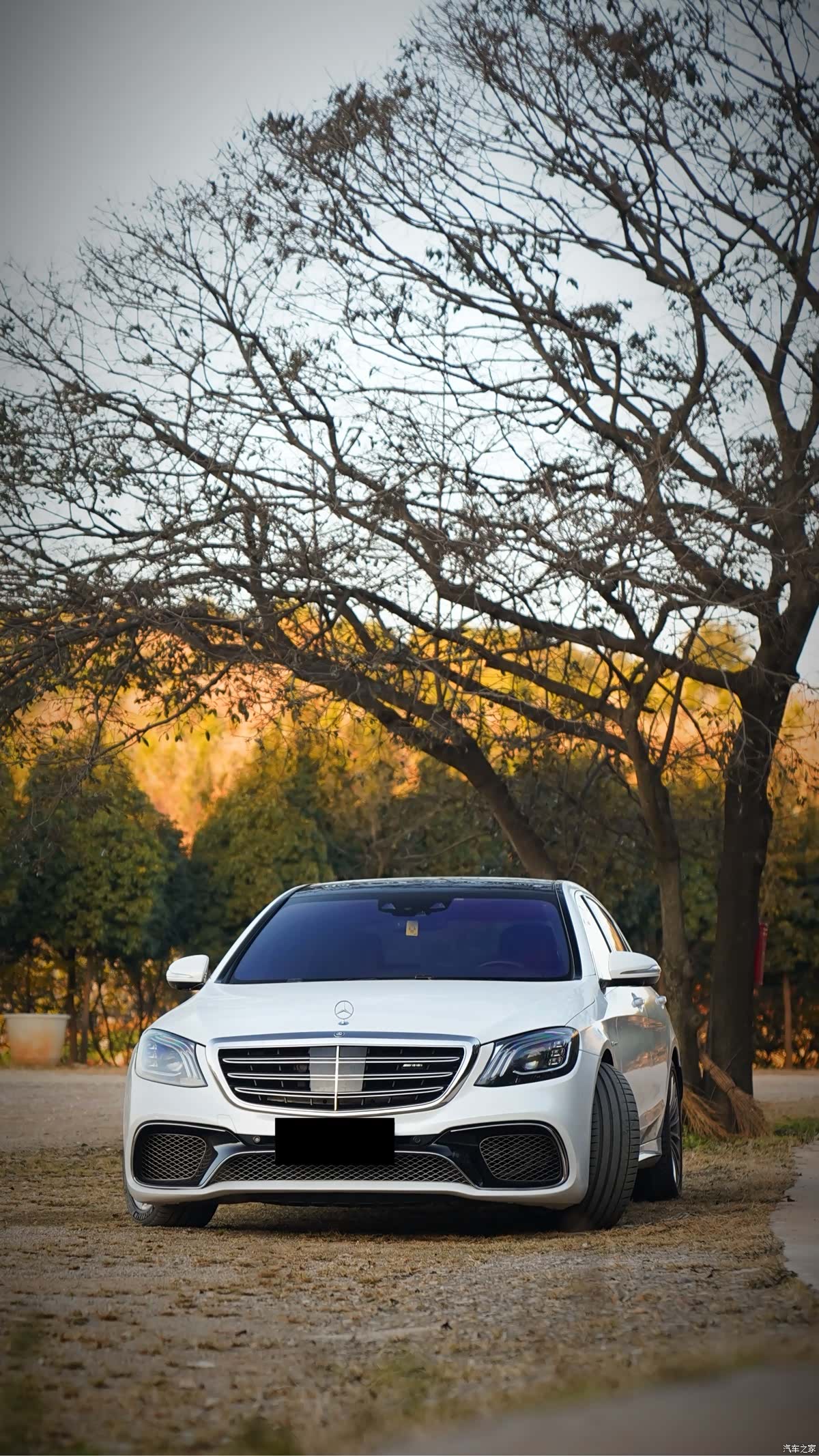 Mercedes-Benz S-Class, 2015 6