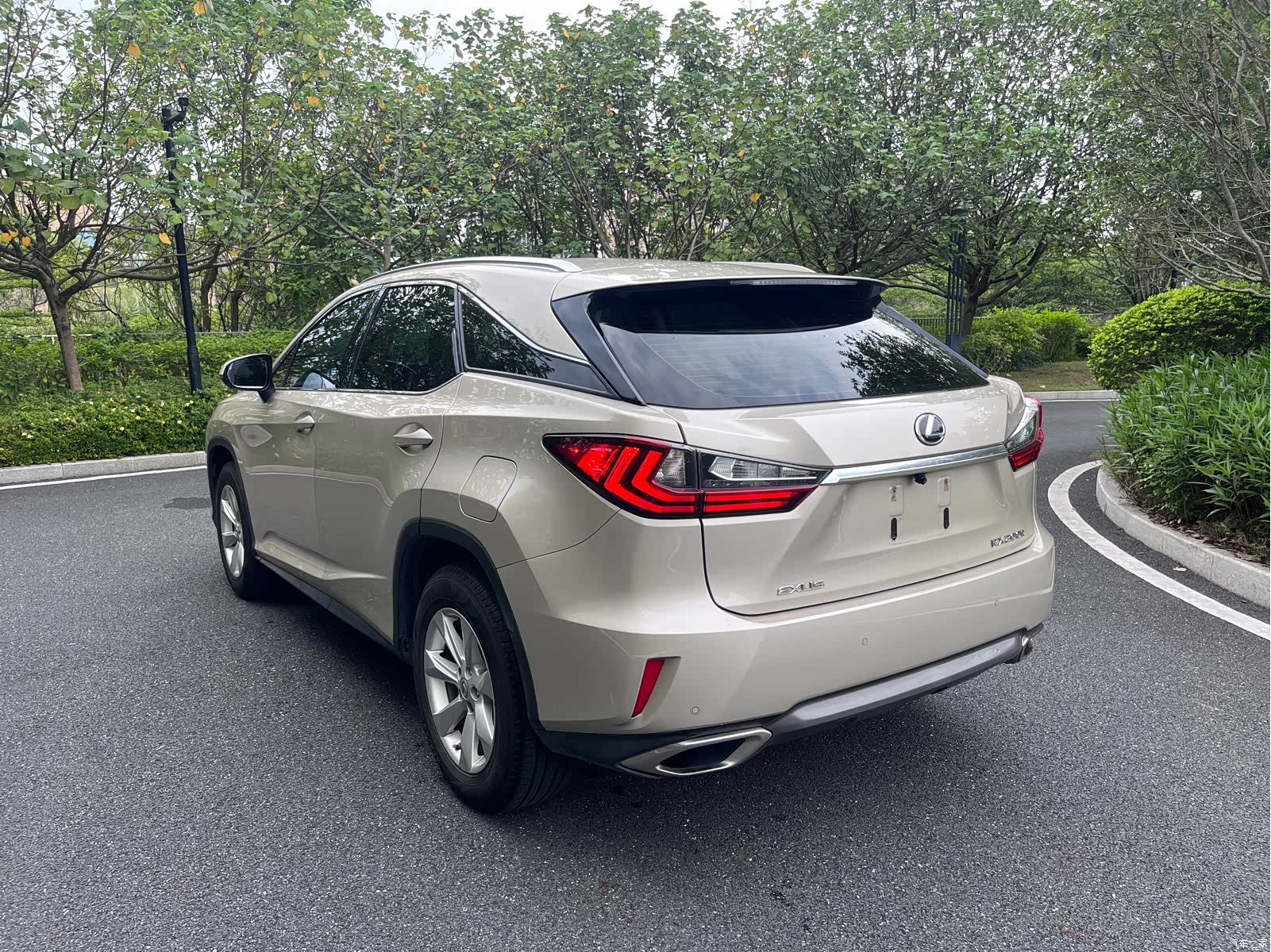 Lexus RX, 2017 6