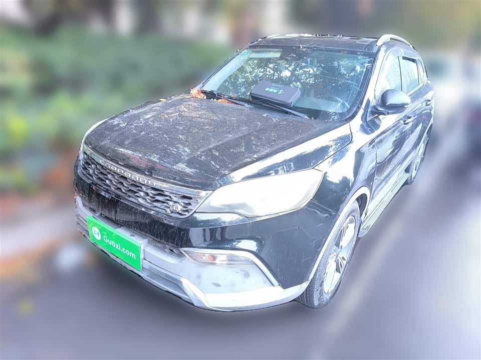 Leopaard Cheetah CS10