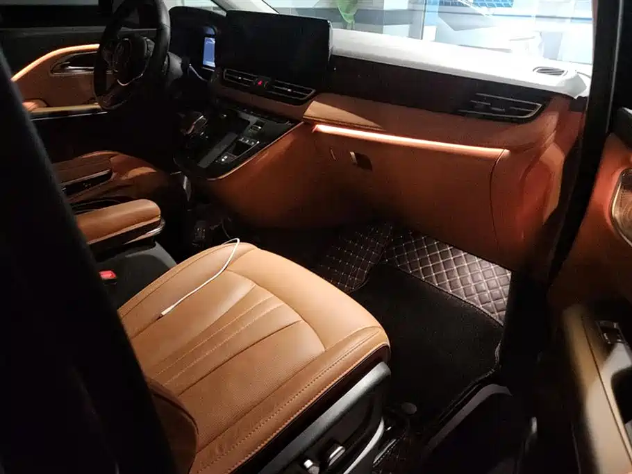 Hongqi HQ9