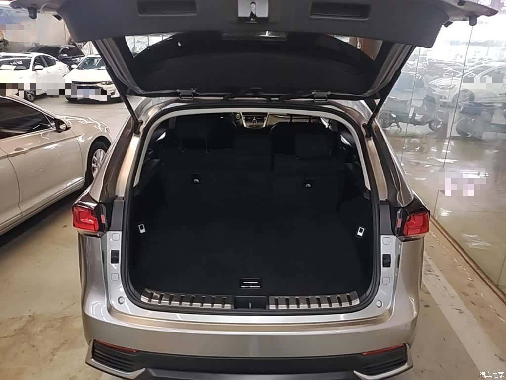 Lexus NX, 2018 19