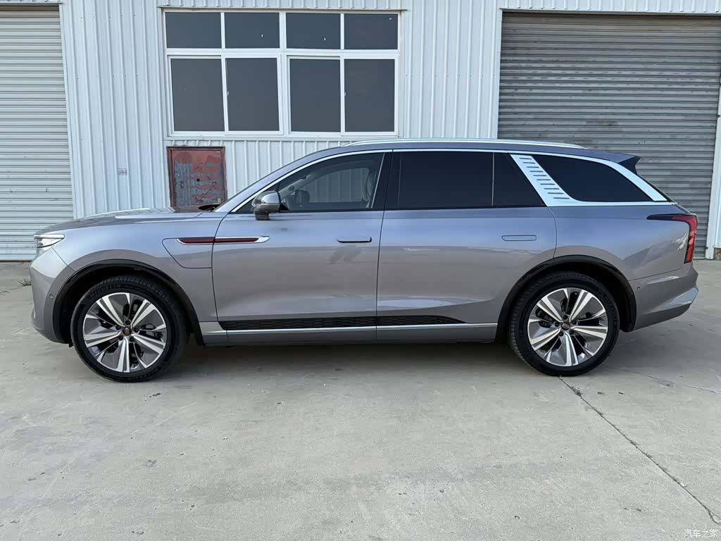 Hongqi E-HS9, 2021 4