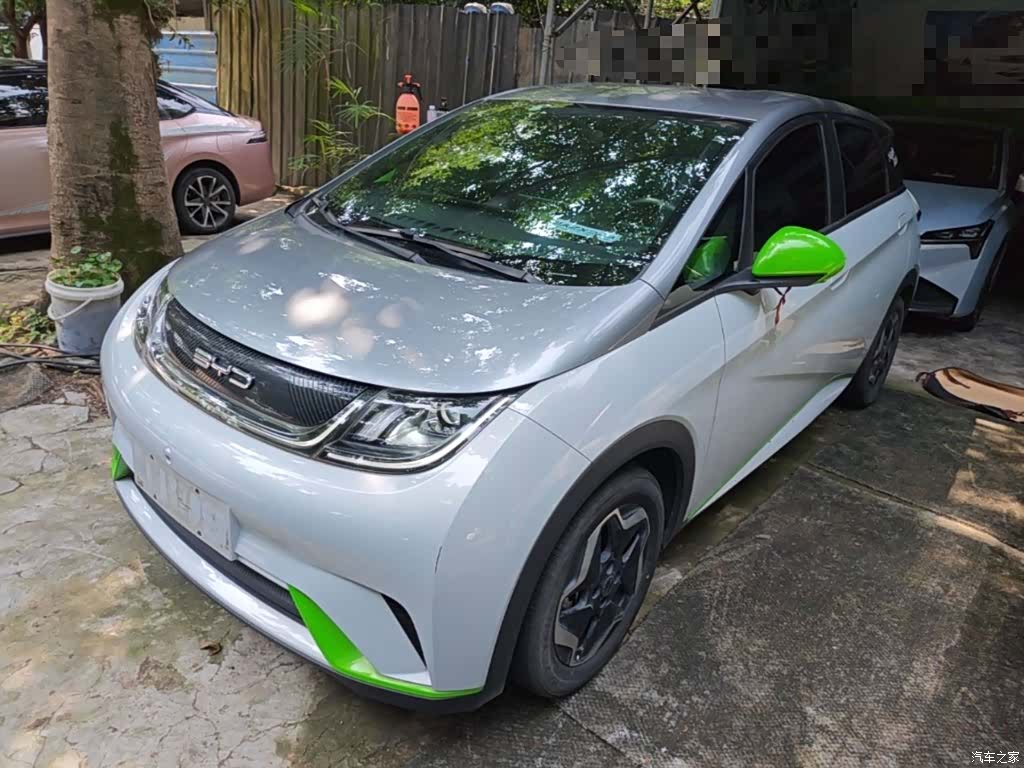 BYD Dolphin, 2022 1
