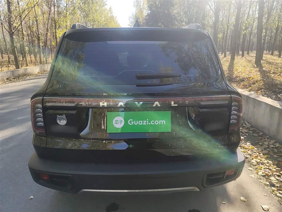 Haval Big dog