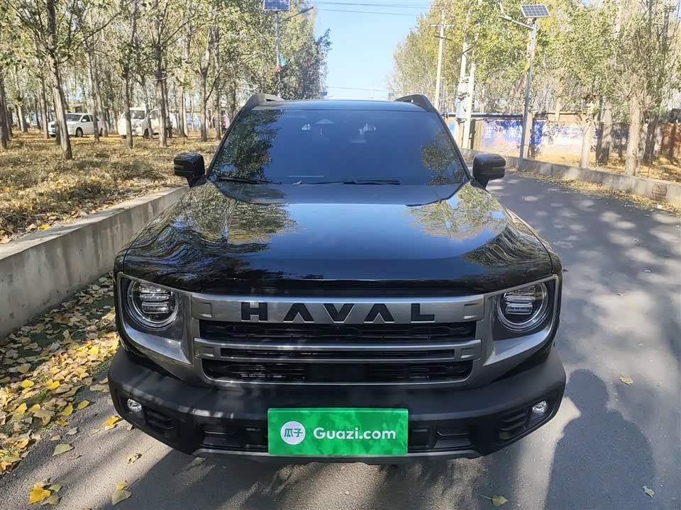 Haval Big dog